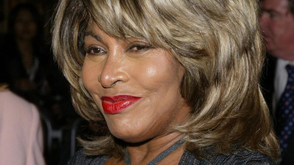 Tina Turner Overleden